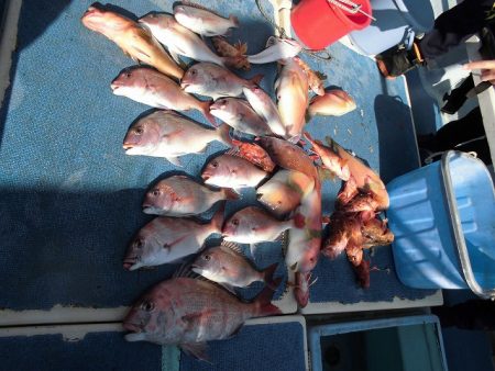 十八宝洋丸 釣果