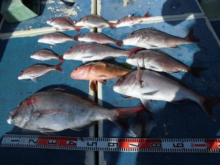 十八宝洋丸 釣果