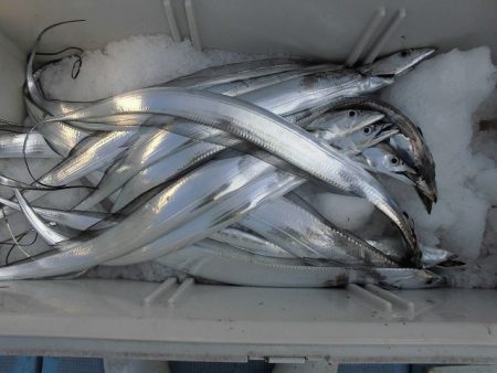 十八宝洋丸 釣果