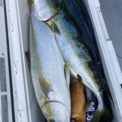 海龍丸(福岡) 釣果