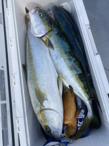 海龍丸(福岡) 釣果