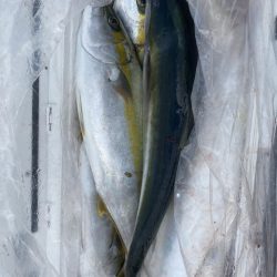 海龍丸(福岡) 釣果