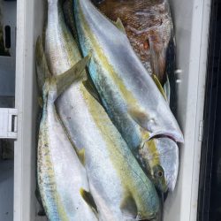 海龍丸(福岡) 釣果