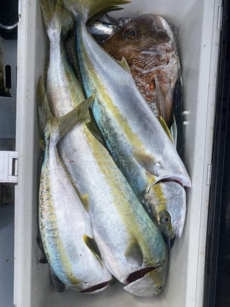 海龍丸(福岡) 釣果