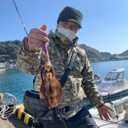 マタウマリンサービス 釣果