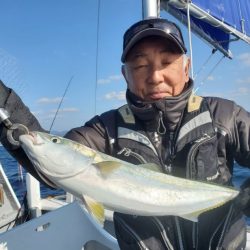 ブルーピア 釣果