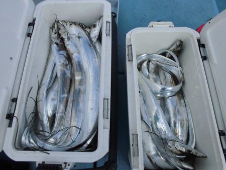 十八宝洋丸 釣果