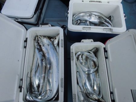 十八宝洋丸 釣果