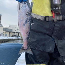 第八平成丸 釣果