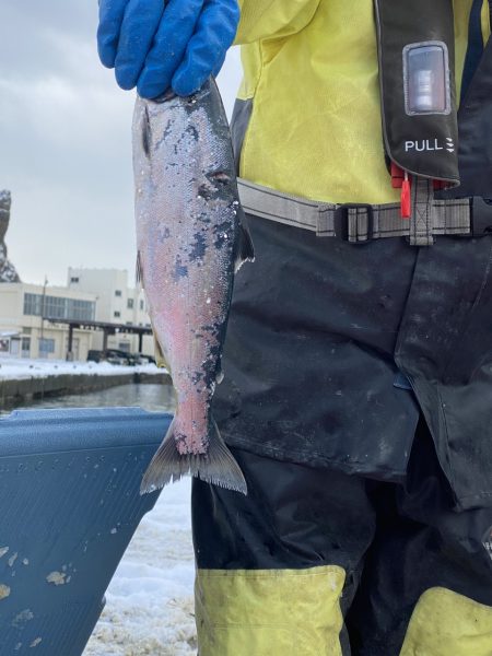 第八平成丸 釣果