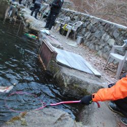 小菅トラウトガーデン 釣果