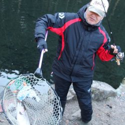 小菅トラウトガーデン 釣果