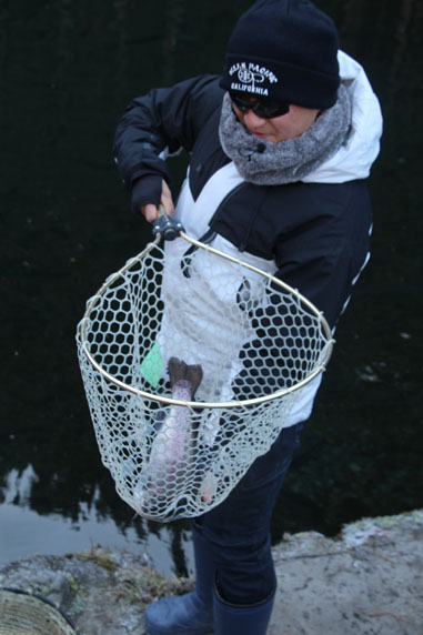 小菅トラウトガーデン 釣果