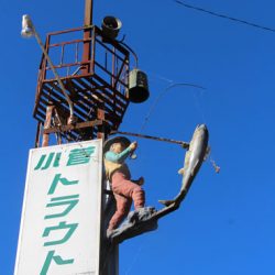 小菅トラウトガーデン 釣果