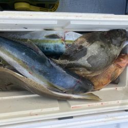 海龍丸(福岡) 釣果