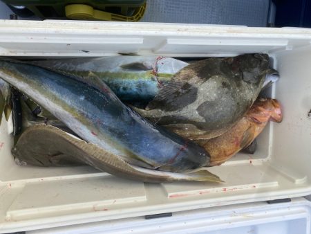 海龍丸(福岡) 釣果