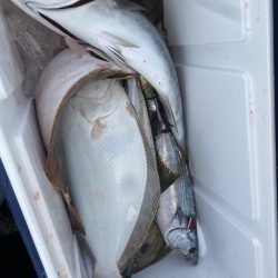 海龍丸(福岡) 釣果