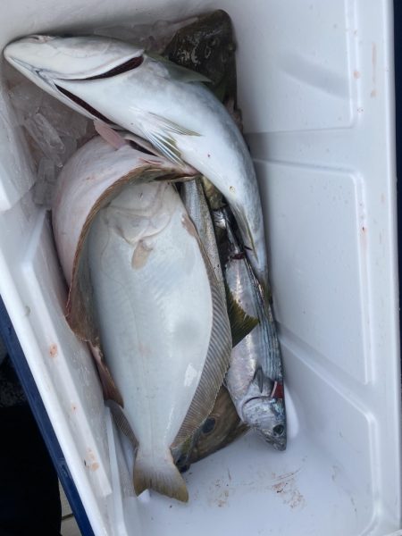 海龍丸(福岡) 釣果