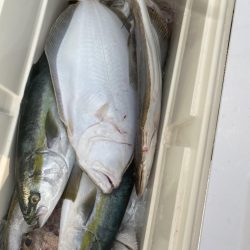 海龍丸(福岡) 釣果