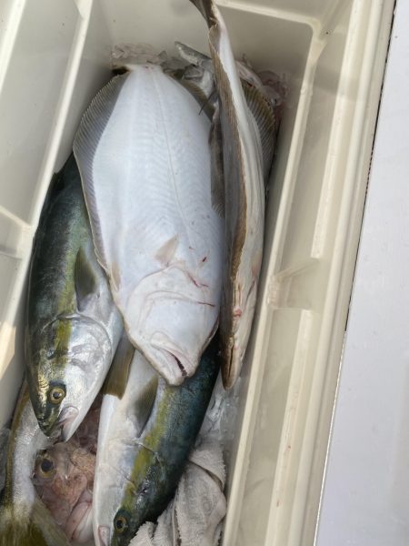 海龍丸(福岡) 釣果