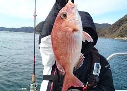 愛裕南丸 釣果