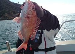 愛裕南丸 釣果