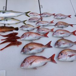 フィッシングボートACE（エース） 釣果