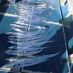 十八宝洋丸 釣果