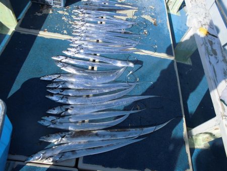 十八宝洋丸 釣果