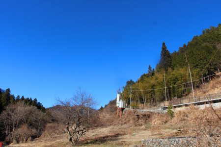 小菅トラウトガーデン 釣果