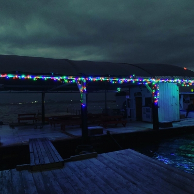 本部釣りイカダ 釣果