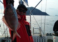愛裕南丸 釣果