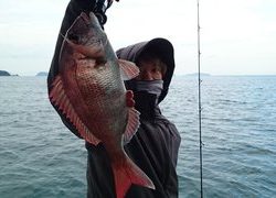 愛裕南丸 釣果