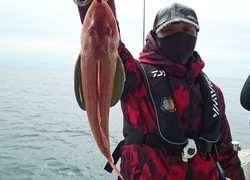 愛裕南丸 釣果