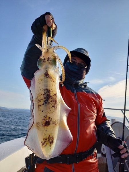 フィッシングボートACE（エース） 釣果