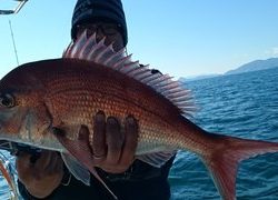 愛裕南丸 釣果