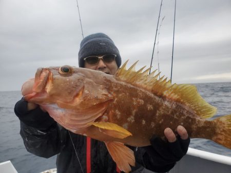 ブルーピア 釣果
