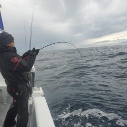 ブルーピア 釣果