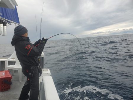 ブルーピア 釣果