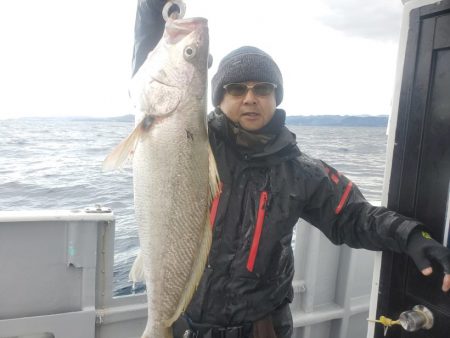 ブルーピア 釣果