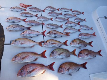 フィッシングボートACE（エース） 釣果