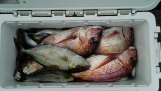 長栄丸(静岡) 釣果