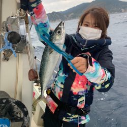 マタウマリンサービス 釣果