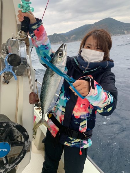 マタウマリンサービス 釣果