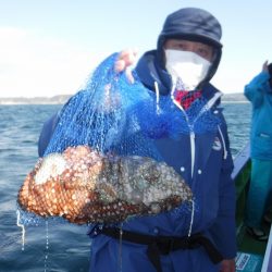 川崎丸 釣果