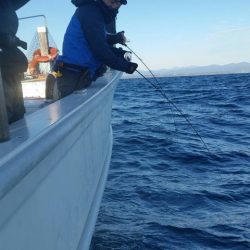 第五慶門丸 釣果