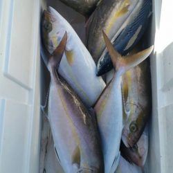 第五慶門丸 釣果