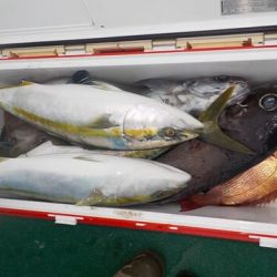 第二むつ漁丸 釣果