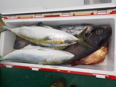 第二むつ漁丸 釣果