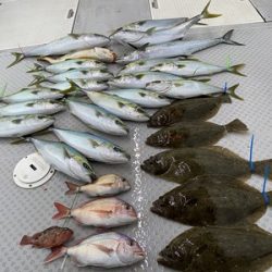 ミタチ丸 釣果